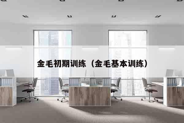 金毛初期训练（金毛基本训练）