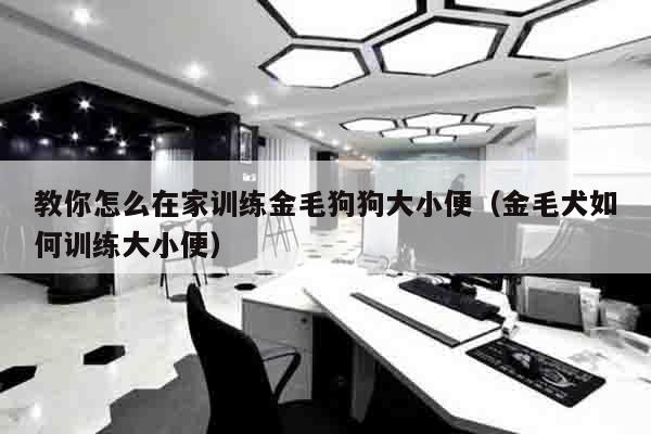 教你怎么在家训练金毛狗狗大小便（金毛犬如何训练大小便）