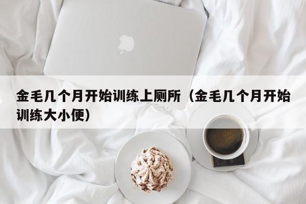 金毛几个月开始训练上厕所（金毛几个月开始训练大小便）