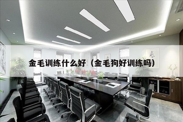 金毛训练什么好（金毛狗好训练吗）