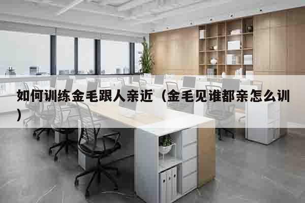 如何训练金毛跟人亲近（金毛见谁都亲怎么训）