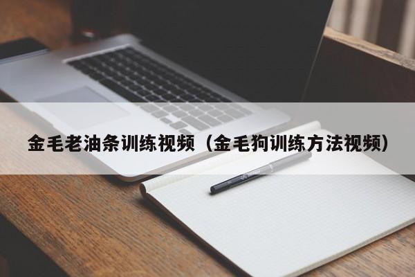 金毛老油条训练视频（金毛狗训练方法视频）