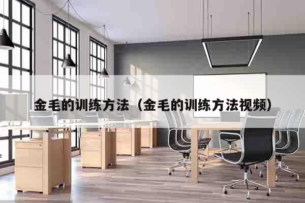 金毛的训练方法（金毛的训练方法视频）
