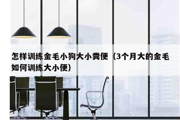 怎样训练金毛小狗大小粪便（3个月大的金毛如何训练大小便）
