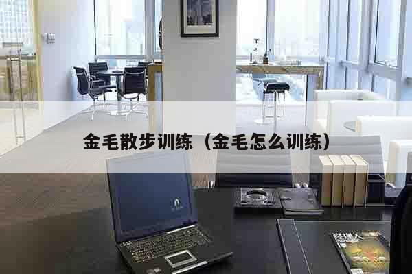 金毛散步训练（金毛怎么训练）