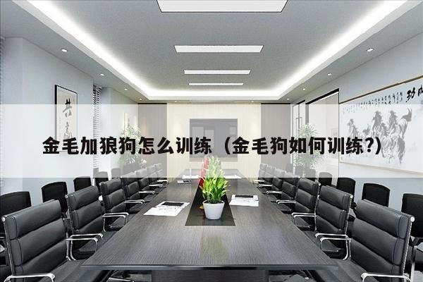 金毛加狼狗怎么训练（金毛狗如何训练?）