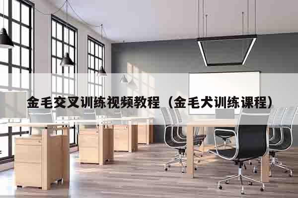 金毛交叉训练视频教程（金毛犬训练课程）