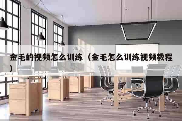 金毛的视频怎么训练（金毛怎么训练视频教程）