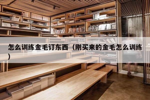 怎么训练金毛订东西（刚买来的金毛怎么训练）