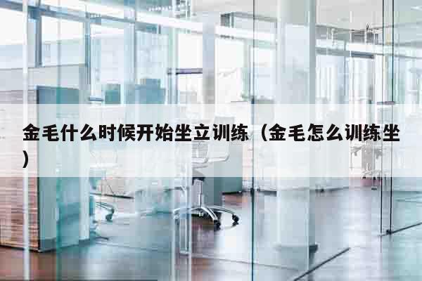 金毛什么时候开始坐立训练（金毛怎么训练坐）