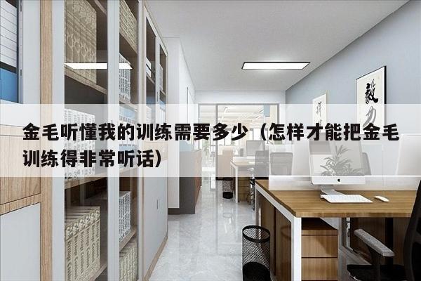 金毛听懂我的训练需要多少（怎样才能把金毛训练得非常听话）