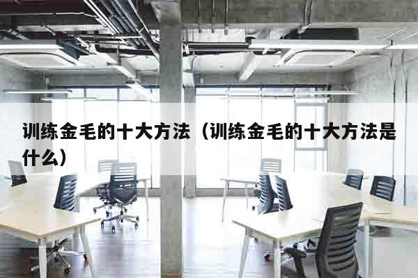 训练金毛的十大方法（训练金毛的十大方法是什么）