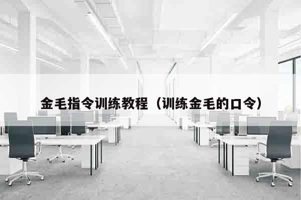 金毛指令训练教程（训练金毛的口令）