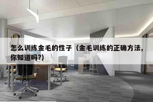 怎么训练金毛的性子（金毛训练的正确方法,你知道吗?）