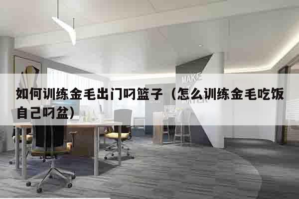 如何训练金毛出门叼篮子（怎么训练金毛吃饭自己叼盆）