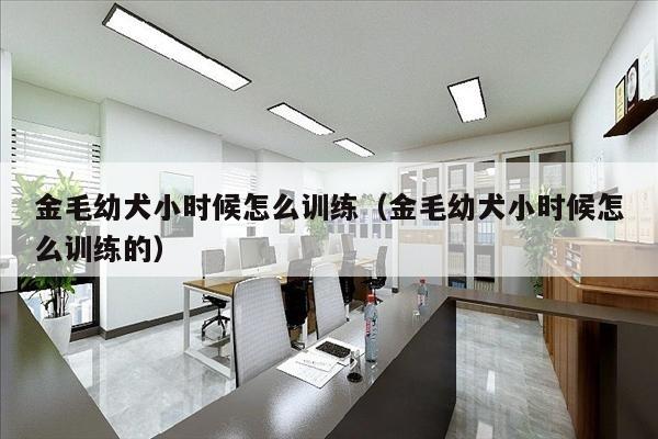 金毛幼犬小时候怎么训练（金毛幼犬小时候怎么训练的）