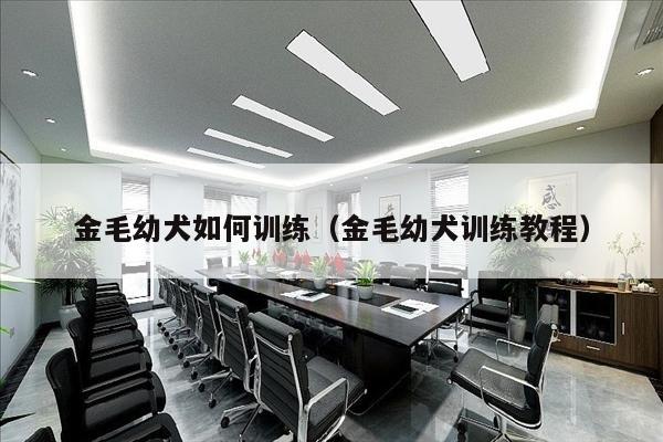 金毛幼犬如何训练（金毛幼犬训练教程）