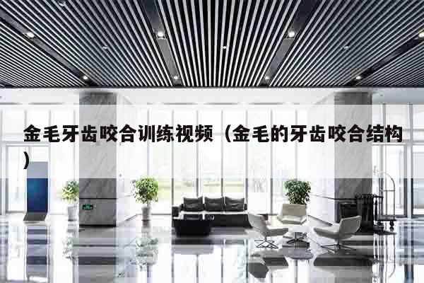 金毛牙齿咬合训练视频（金毛的牙齿咬合结构）