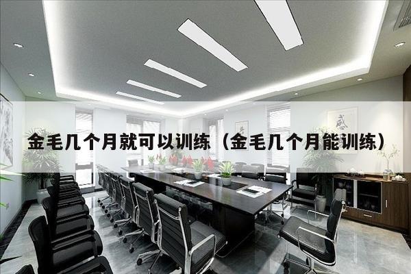 金毛几个月就可以训练（金毛几个月能训练）