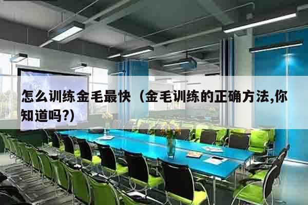怎么训练金毛最快（金毛训练的正确方法,你知道吗?）