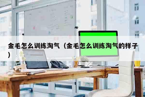 金毛怎么训练淘气（金毛怎么训练淘气的样子）