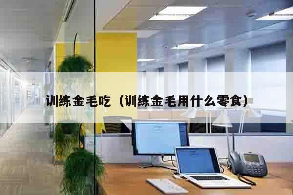 训练金毛吃（训练金毛用什么零食）