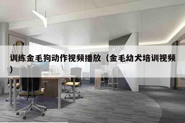训练金毛狗动作视频播放（金毛幼犬培训视频）
