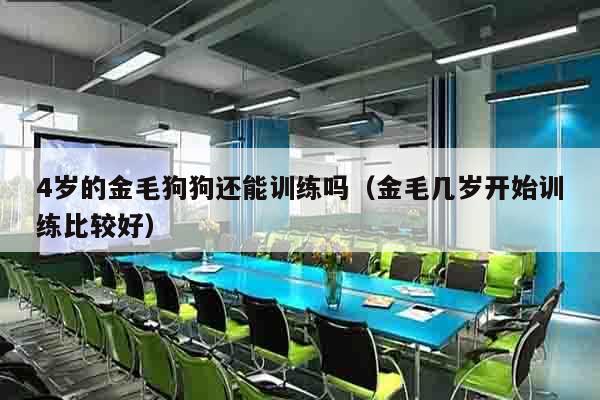 4岁的金毛狗狗还能训练吗（金毛几岁开始训练比较好）