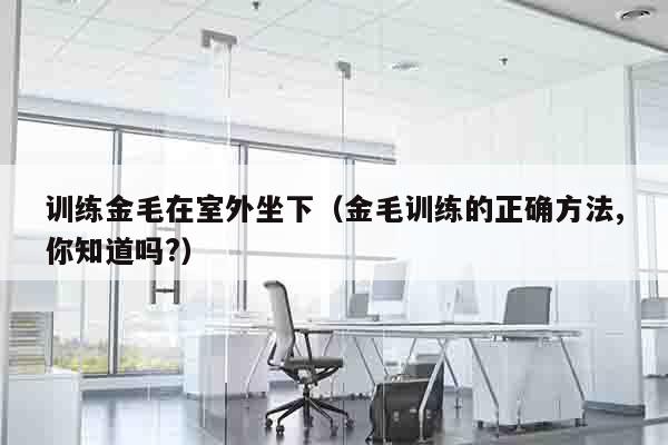 训练金毛在室外坐下（金毛训练的正确方法,你知道吗?）