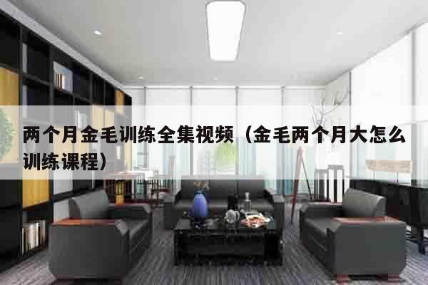 两个月金毛训练全集视频（金毛两个月大怎么训练课程）