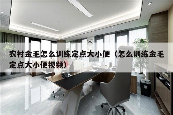 农村金毛怎么训练定点大小便（怎么训练金毛定点大小便视频）