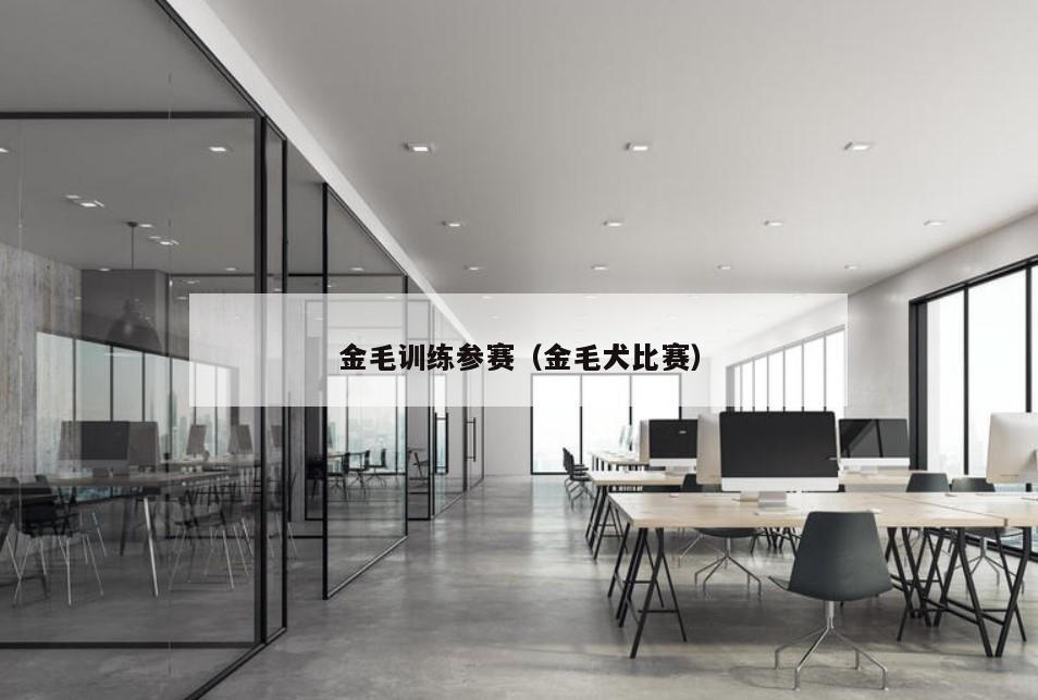 金毛训练参赛（金毛犬比赛）