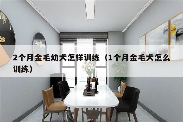 2个月金毛幼犬怎样训练（1个月金毛犬怎么训练）