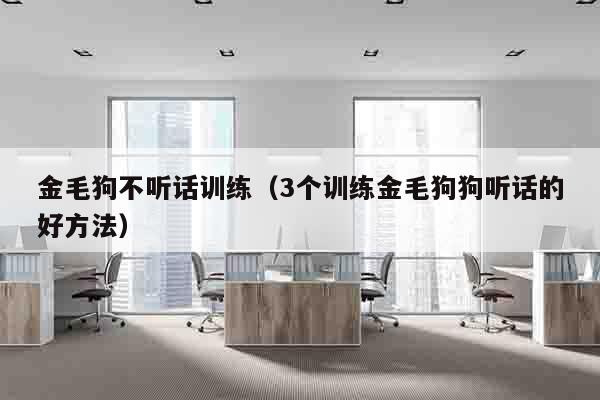 金毛狗不听话训练（3个训练金毛狗狗听话的好方法）