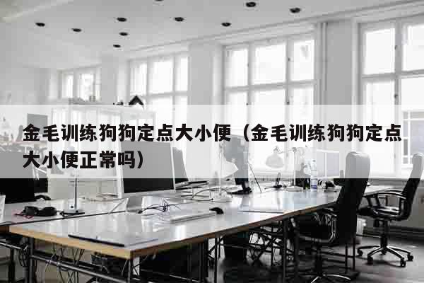 金毛训练狗狗定点大小便（金毛训练狗狗定点大小便正常吗）
