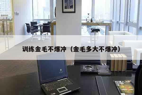 训练金毛不爆冲（金毛多大不爆冲）