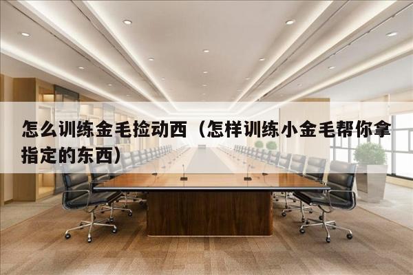 怎么训练金毛捡动西（怎样训练小金毛帮你拿指定的东西）