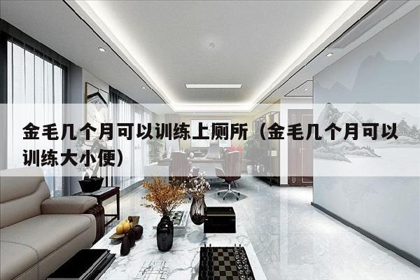 金毛几个月可以训练上厕所（金毛几个月可以训练大小便）