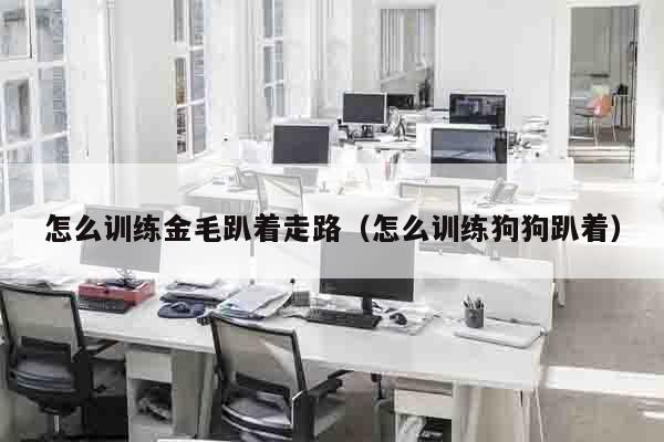 怎么训练金毛趴着走路（怎么训练狗狗趴着）
