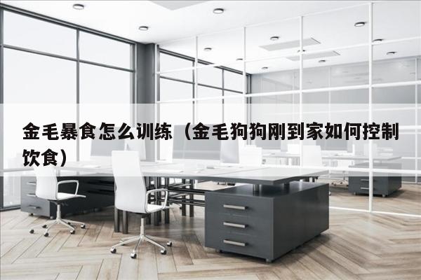 金毛暴食怎么训练（金毛狗狗刚到家如何控制饮食）