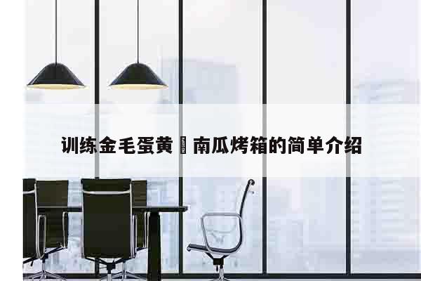 训练金毛蛋黄焗南瓜烤箱的简单介绍