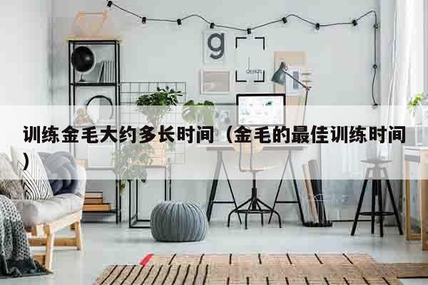 训练金毛大约多长时间（金毛的最佳训练时间）