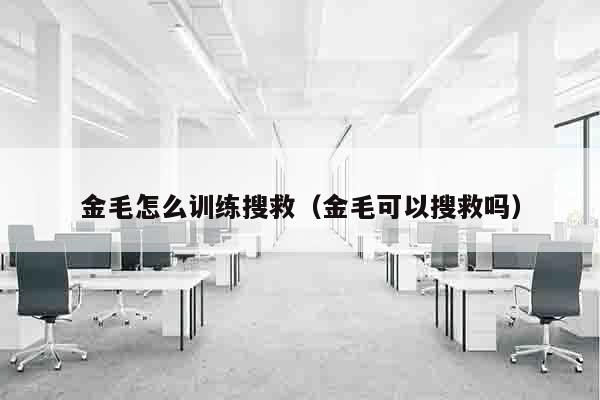 金毛怎么训练搜救（金毛可以搜救吗）