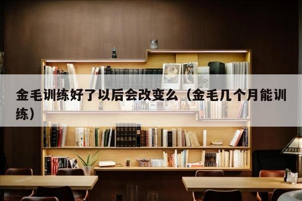 金毛训练好了以后会改变么（金毛几个月能训练）