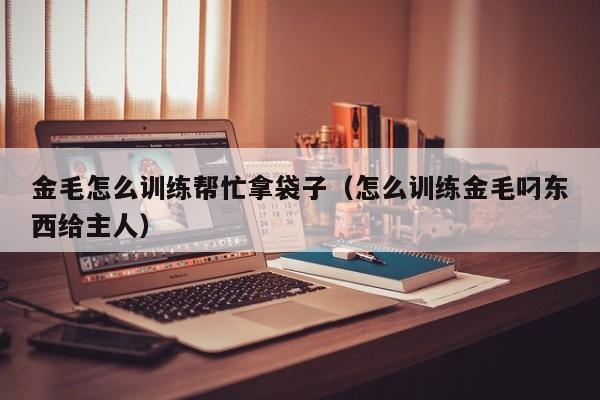 金毛怎么训练帮忙拿袋子（怎么训练金毛叼东西给主人）