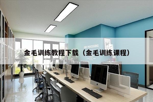 金毛训练教程下载（金毛训练课程）