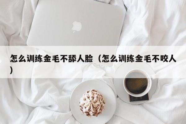 怎么训练金毛不舔人脸（怎么训练金毛不咬人）