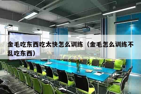 金毛吃东西吃太快怎么训练（金毛怎么训练不乱吃东西）