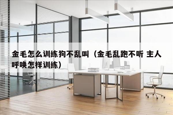 金毛怎么训练狗不乱叫（金毛乱跑不听 主人呼唤怎样训练）
