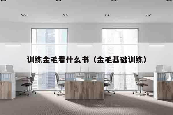 训练金毛看什么书（金毛基础训练）